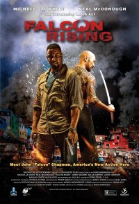 Falcon Rising 2014 türkçe dublaj izle