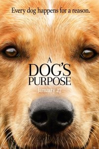 Can Dostum 2017 izle