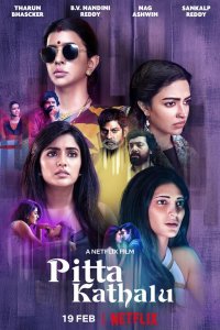 Pitta Kathalu izle